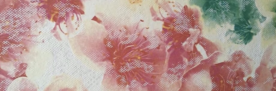 J L Safronick banner