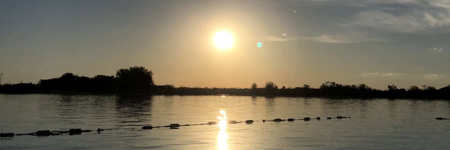 Milalanis_'s profile banner image