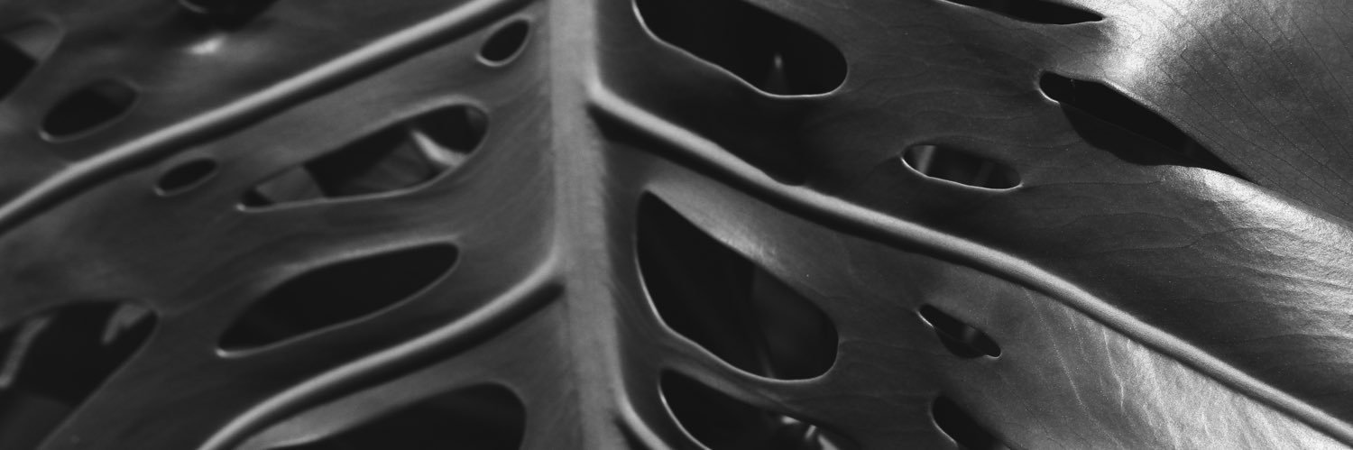 dasliiisa's profile banner image