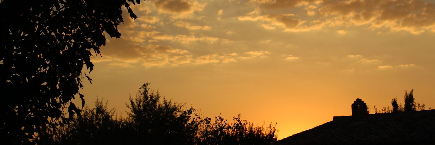 Nuli98's profile banner image