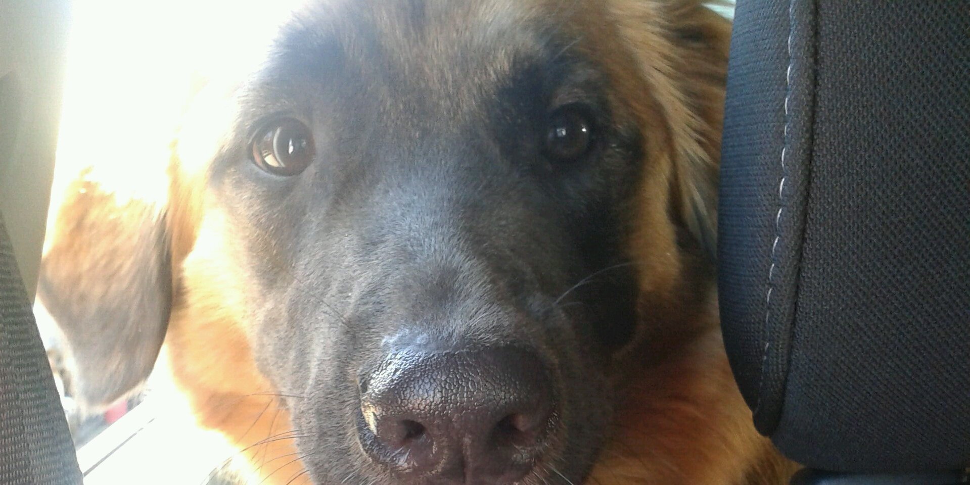 GimeGabi's profile banner image