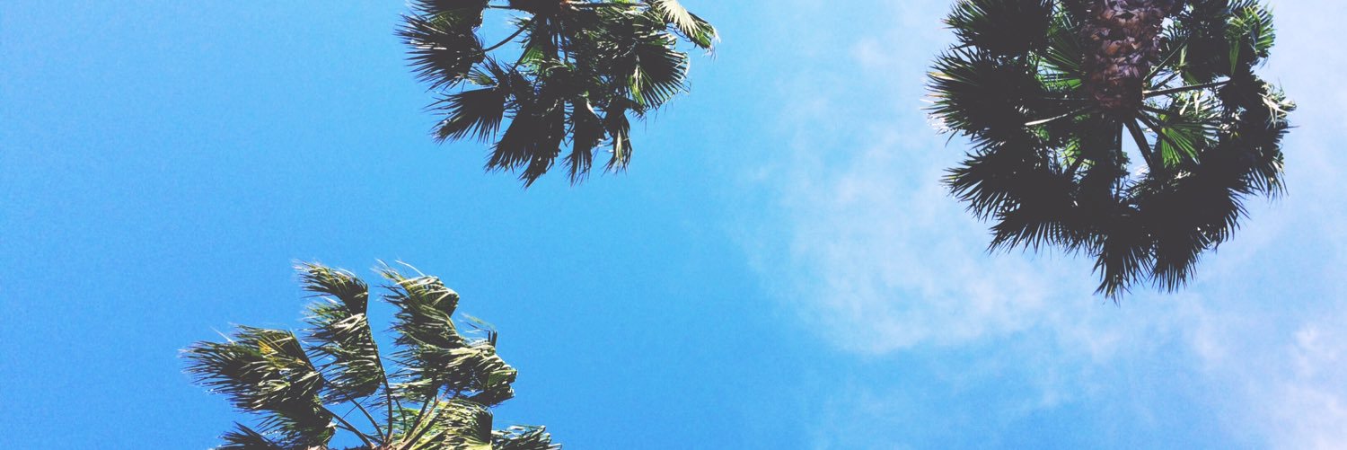 Delltrese's profile banner image