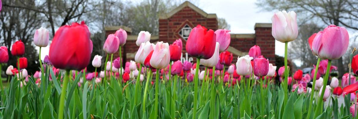 Decatur Living banner