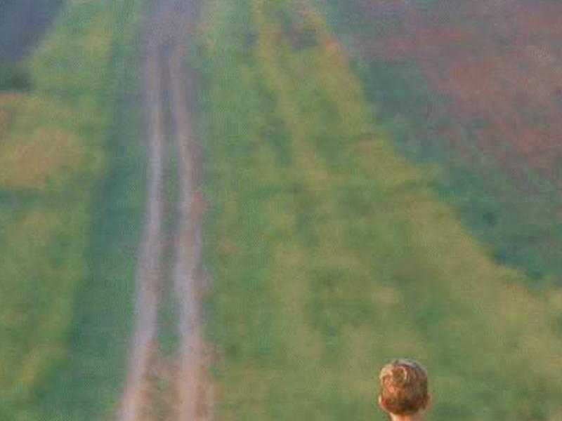 memespont's profile banner image