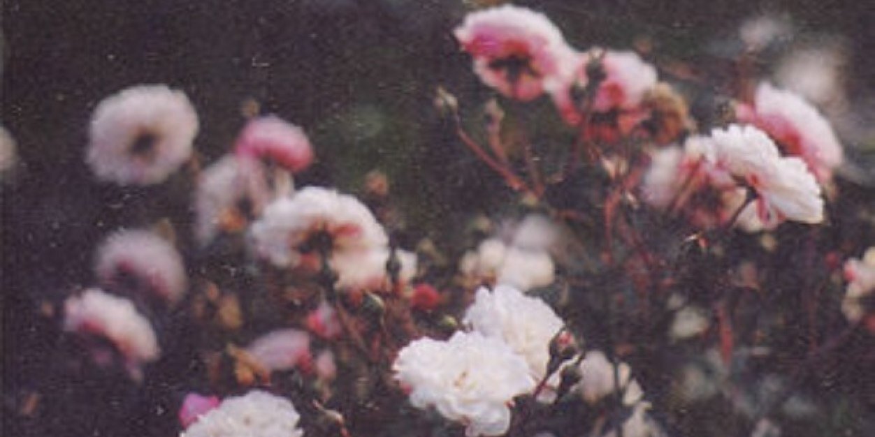 lyar3's profile banner image