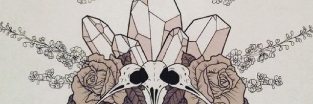 FensRevenge's profile banner image