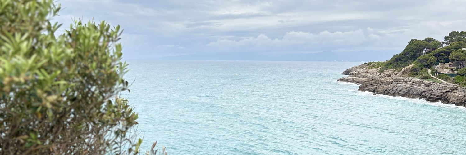 Rejoiced_'s profile banner image