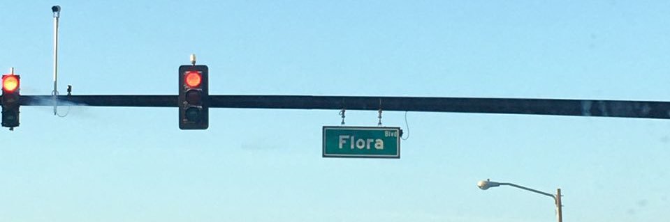 Flora Castillo banner