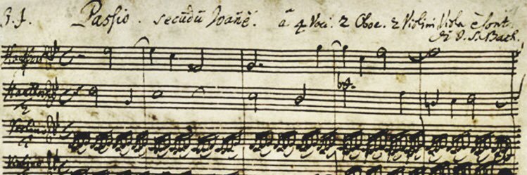 Martha Castillero banner