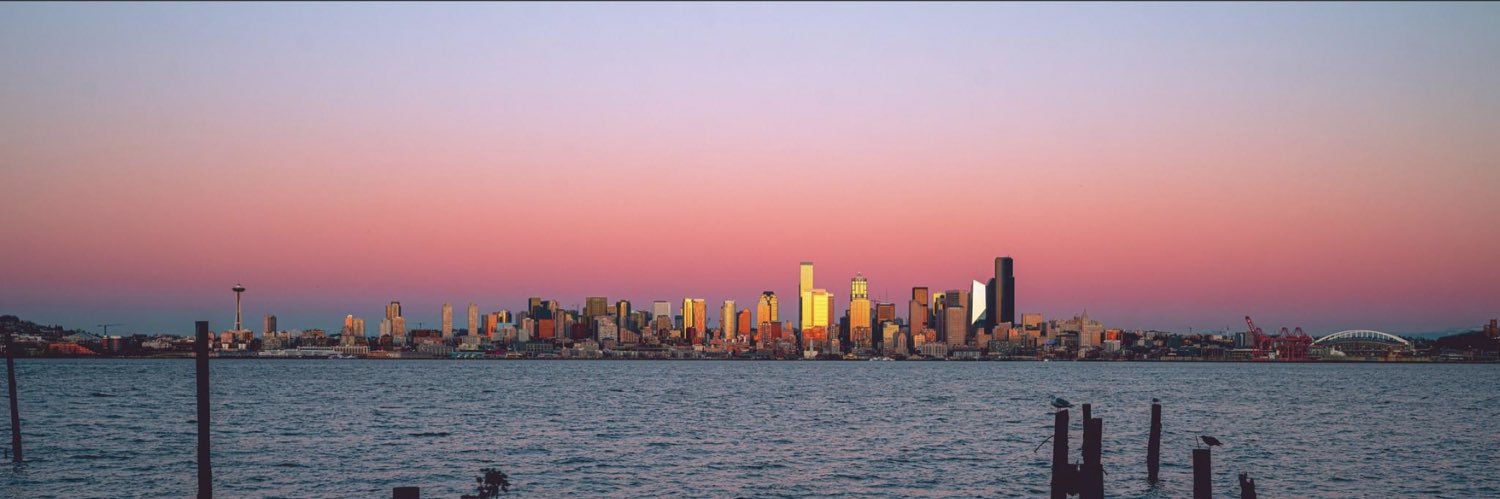 Maestro Jones banner