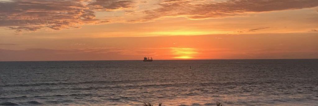 Maryland Election Integrity Group banner