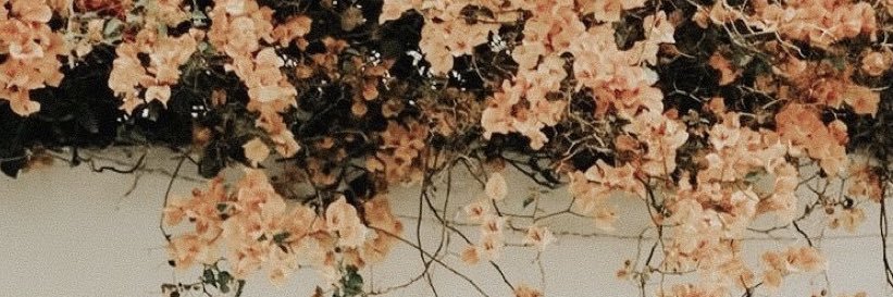 hanzzrich's profile banner image