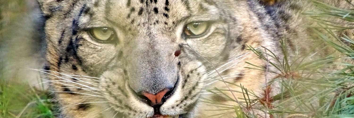 Autorlekt's profile banner image