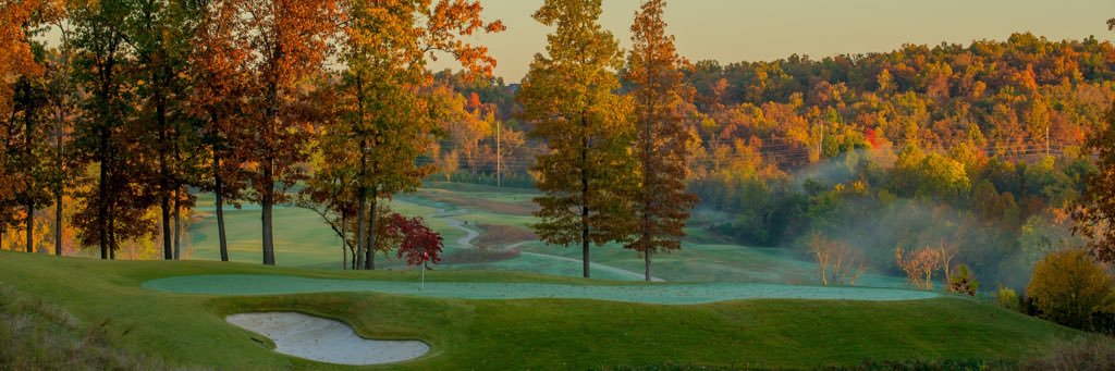 Razorback Men's Golf's banner