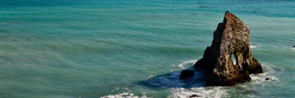 Chloe Karaskiewicz banner