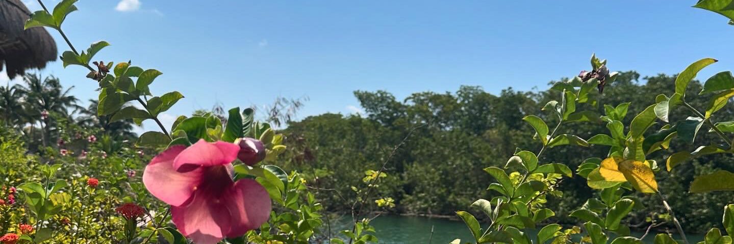 dany_lozanog's profile banner image