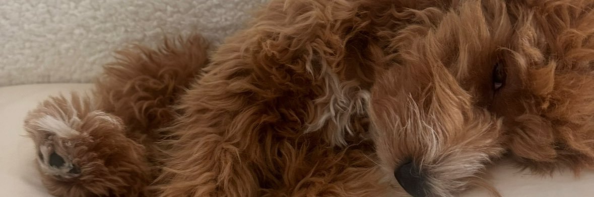 _maritzzzaaa's profile banner image