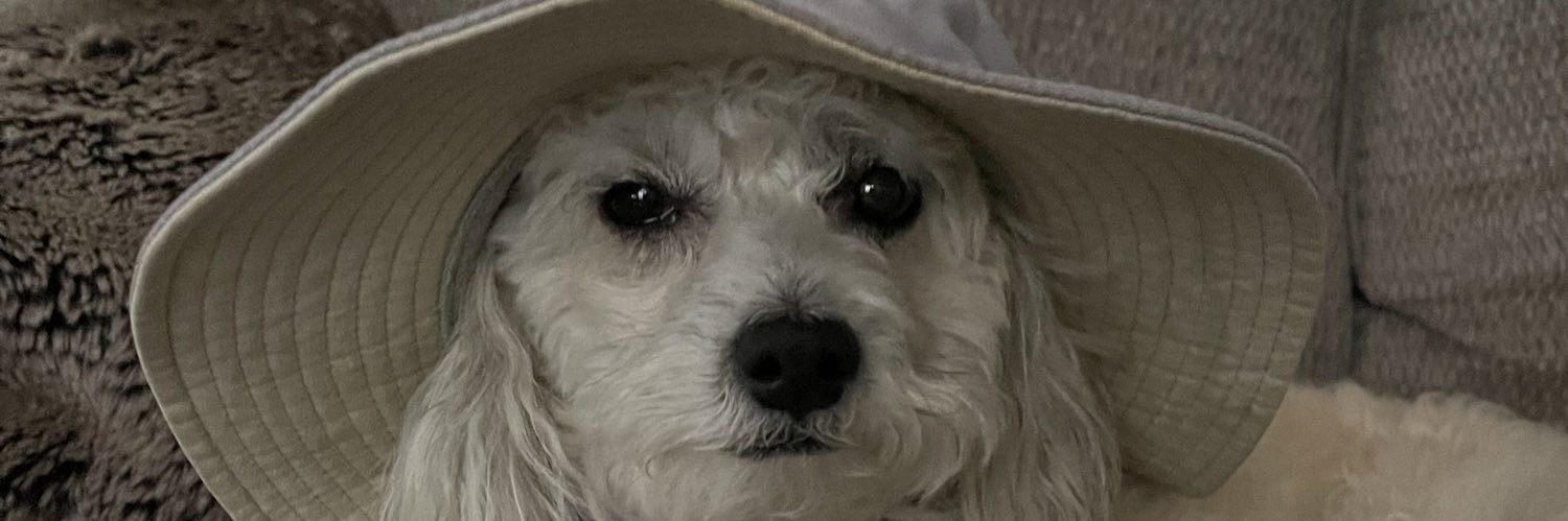 Blessed2235's profile banner image