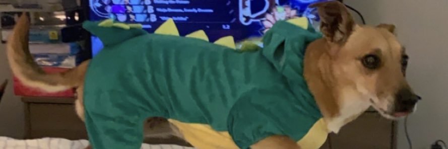 donasaur_'s profile banner image