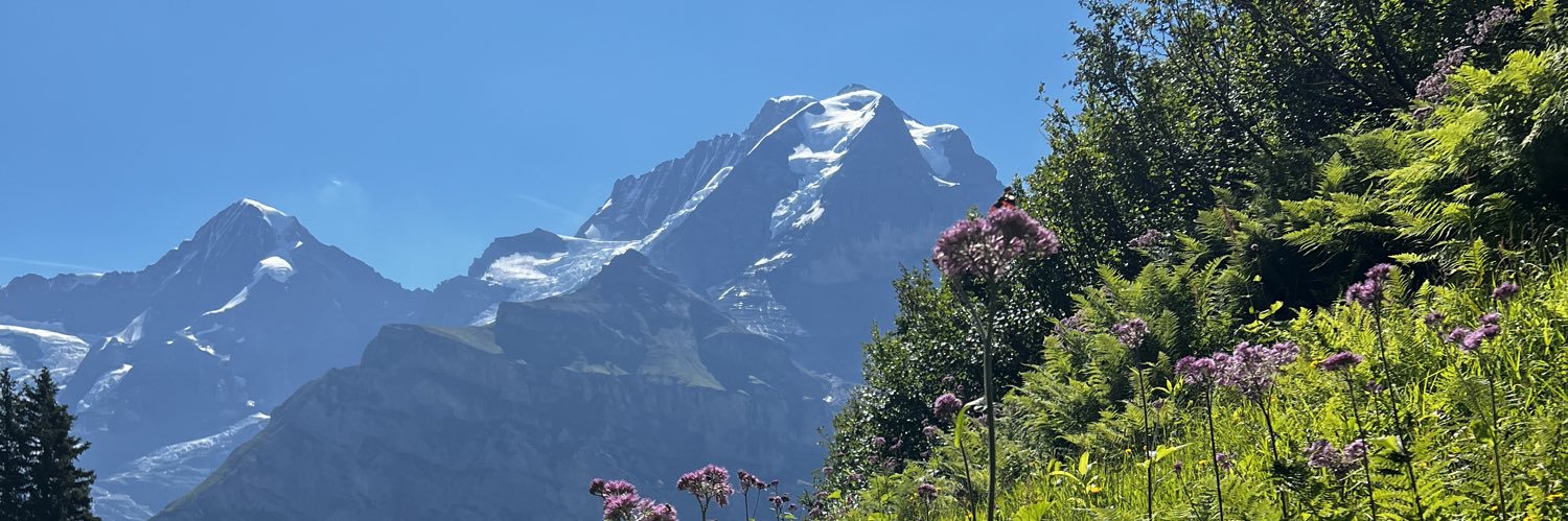 CamiBanani's profile banner image