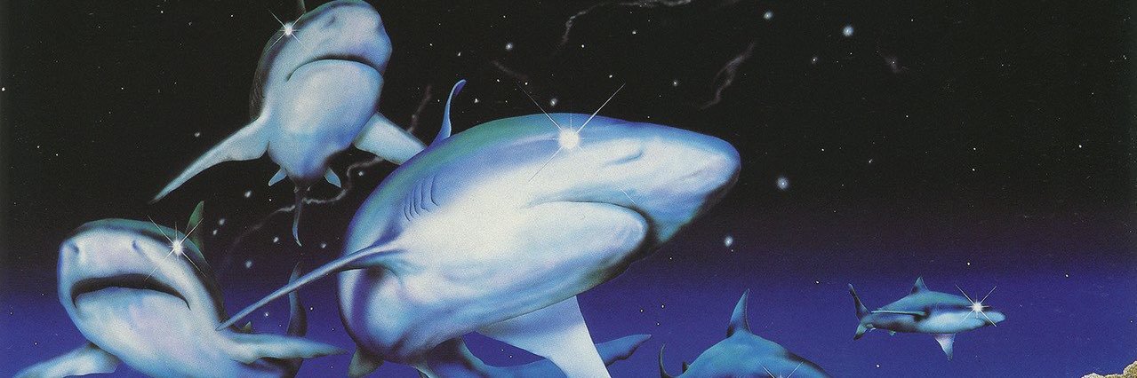 puffwurm's profile banner image