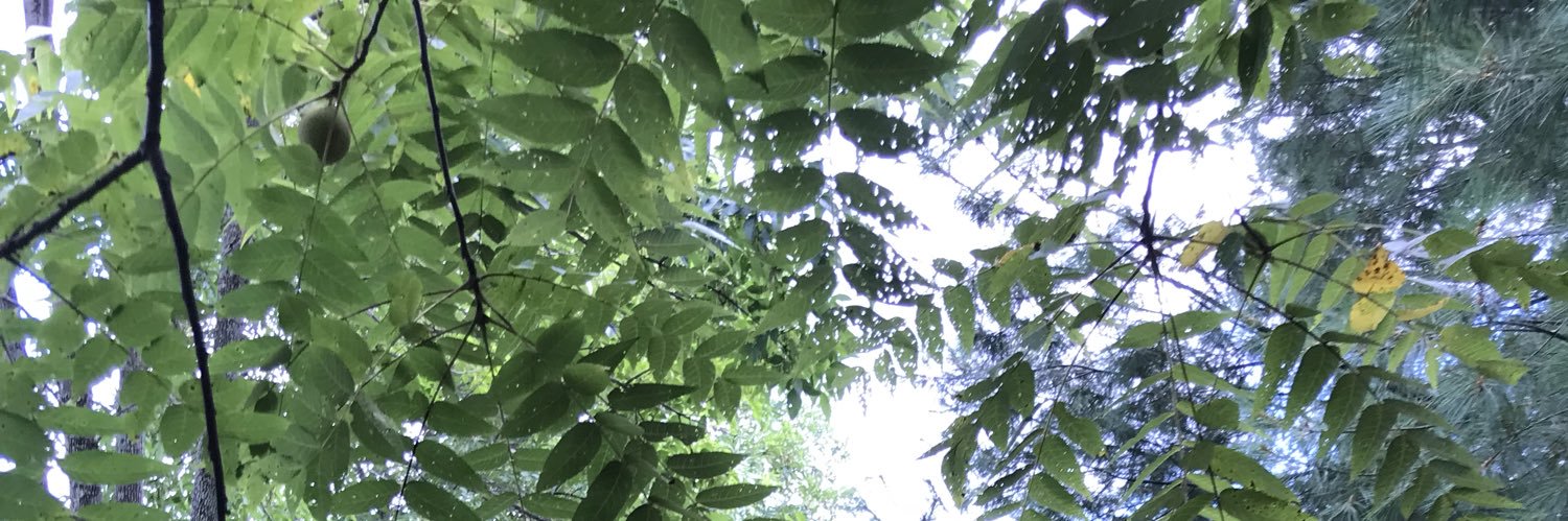 CindyPhilbrick's profile banner image