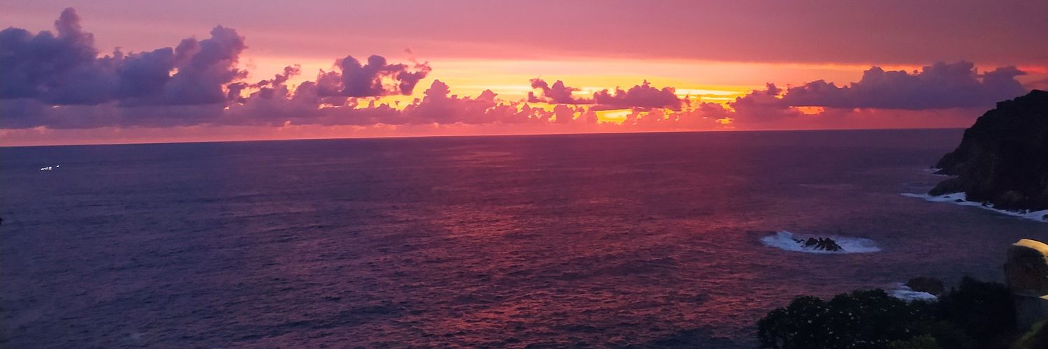 Lunnrev's profile banner image