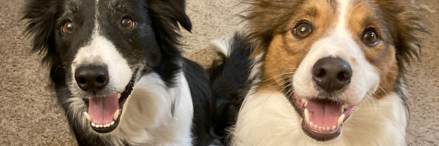 kchumps's profile banner image