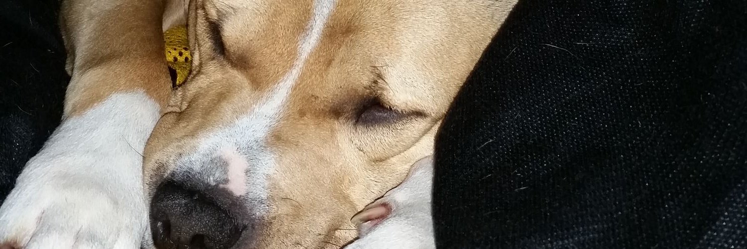 RunFastRunSmart's profile banner image