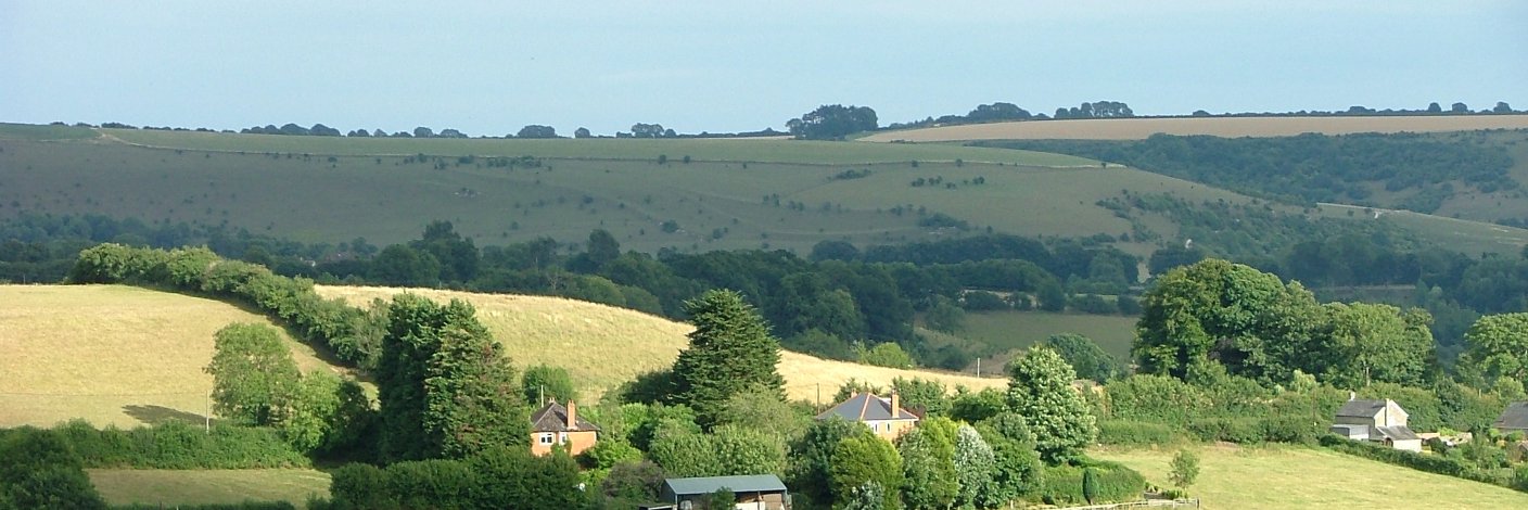 Neyire Ashworth banner