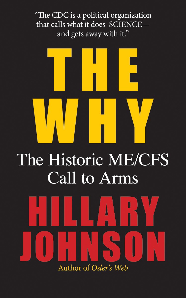 Hillary Johnson Author, Journalist's banner