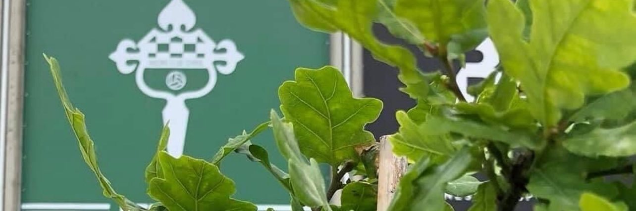Ce.R.B. banner