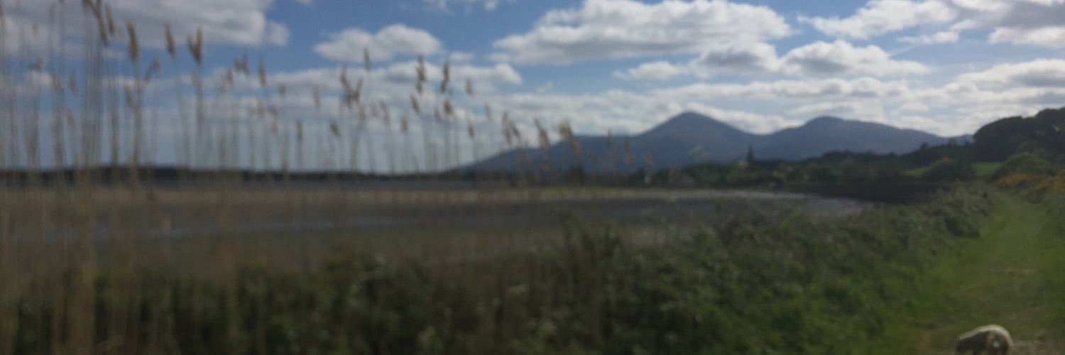 McCannEdel's profile banner image