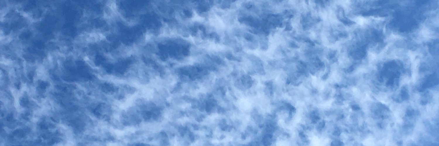 SharronLMiller's profile banner image