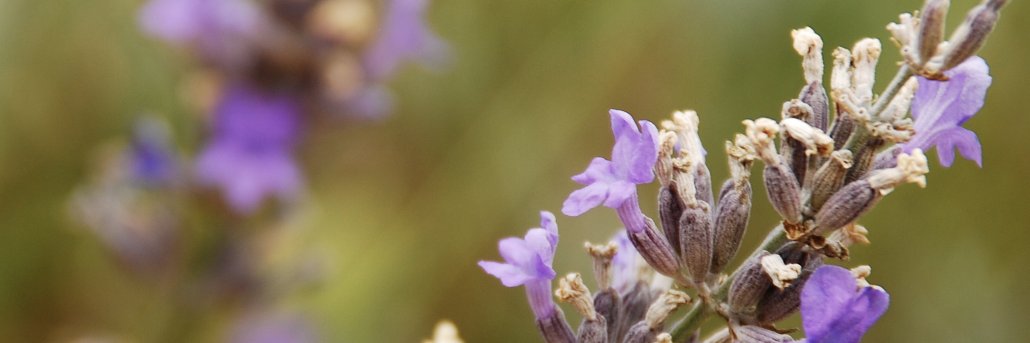 LondonChrispy's profile banner image