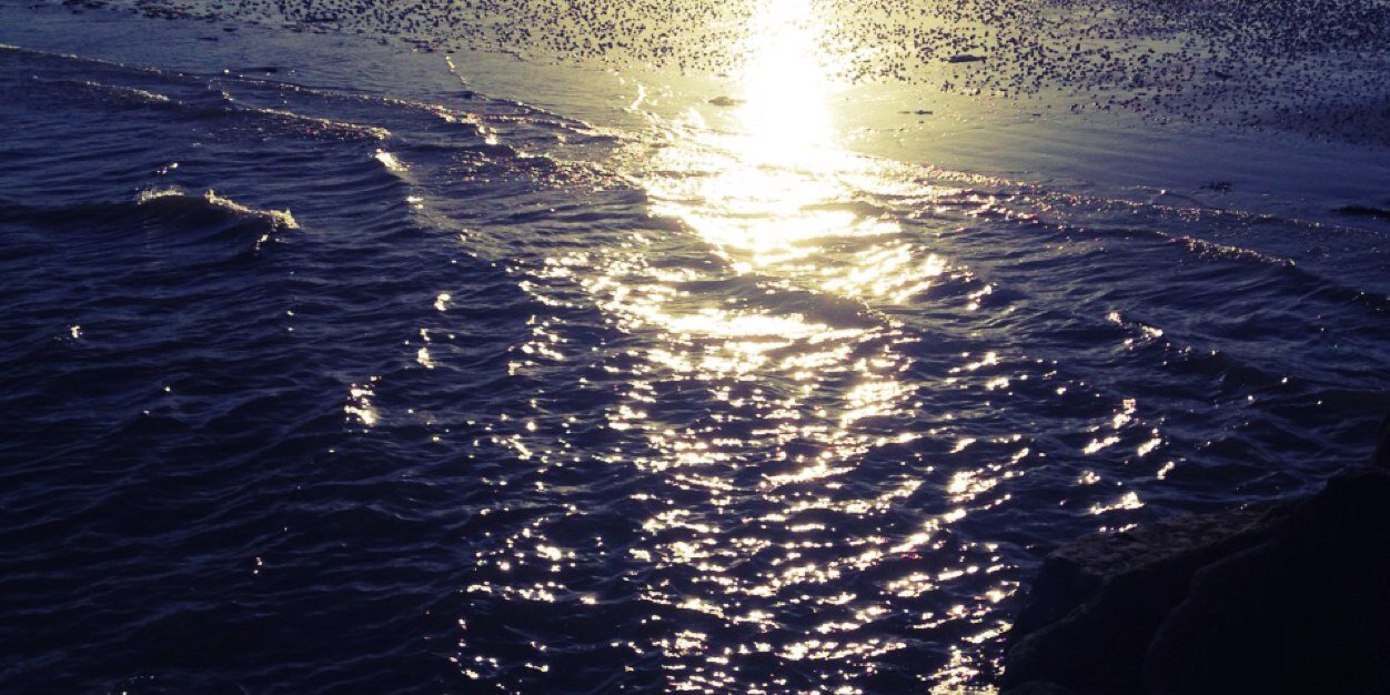 MaireadOFarrell's profile banner image