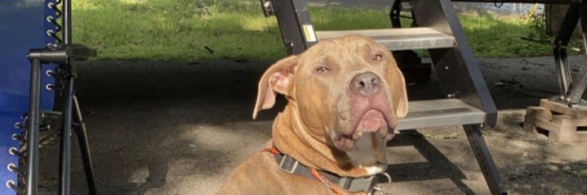 kthixson_'s profile banner image