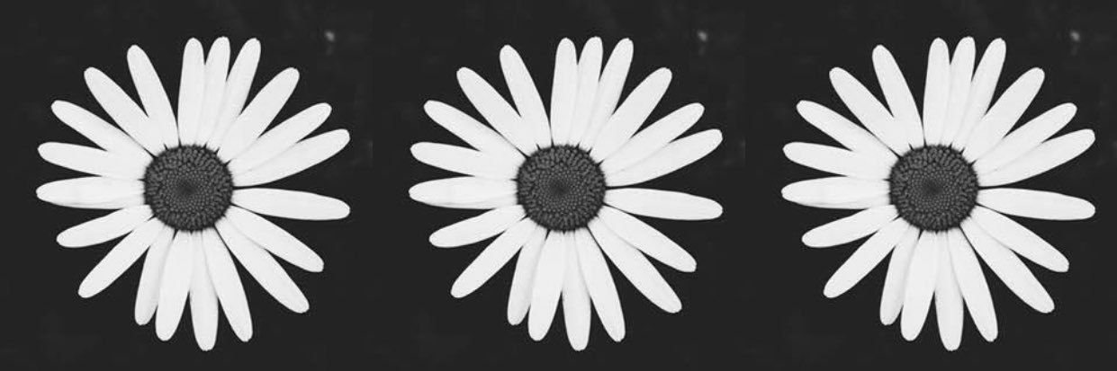 YaninMFimbres's profile banner image
