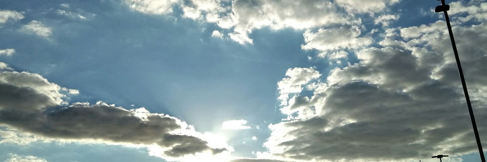 FEENIXRISING12's profile banner image