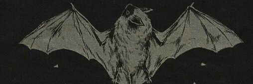 Shutterl0ve's profile banner image