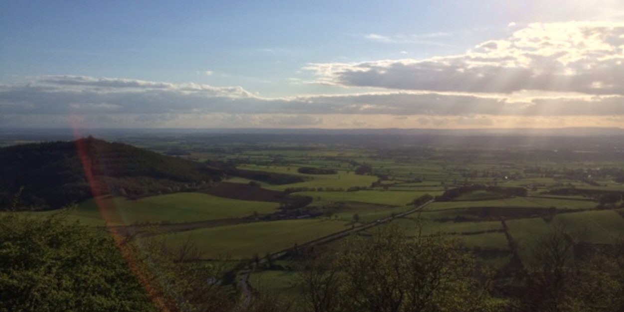 Prof Jo Ingold banner