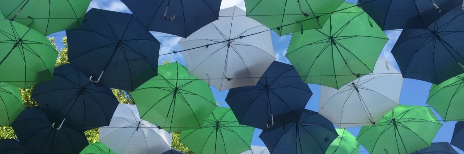 ayanowski's profile banner image