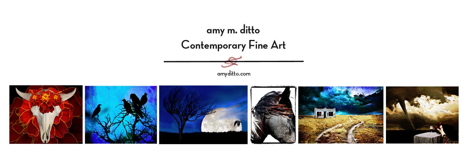 amy_m_ditto's profile banner image