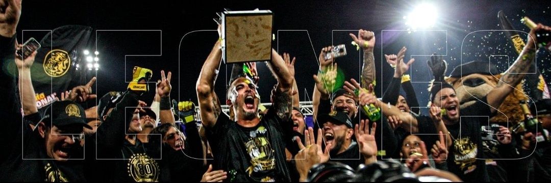 Roberto Das Fontes banner