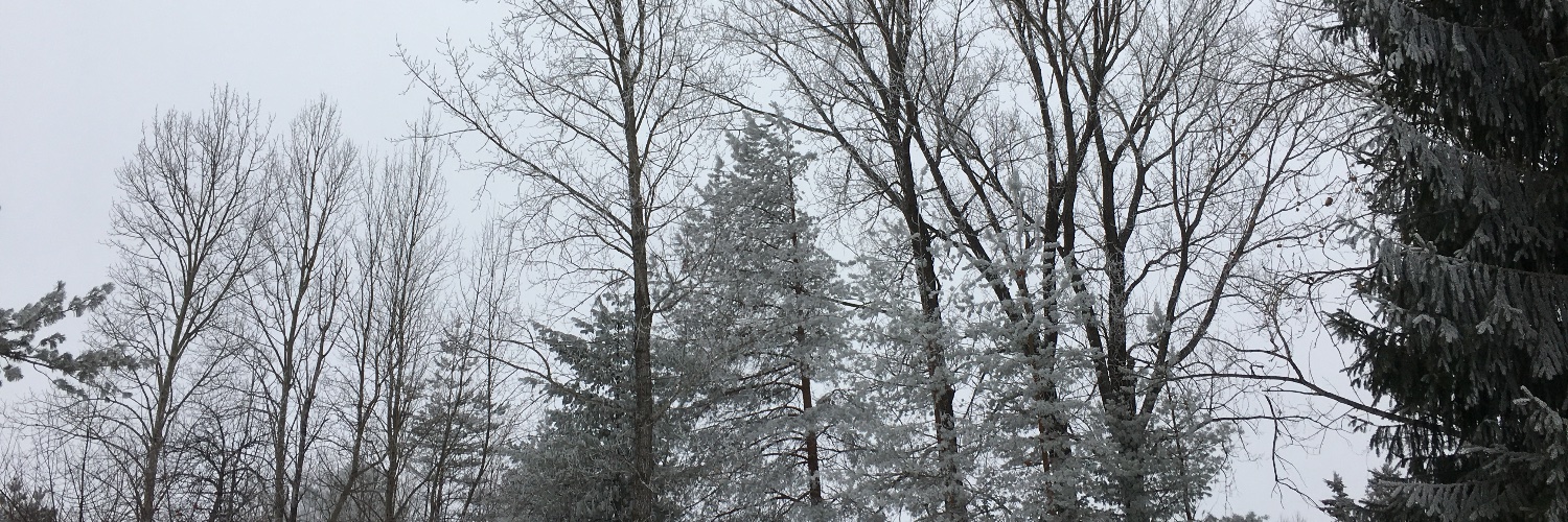 sethgcherubini's profile banner image