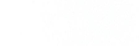 Breauna banner