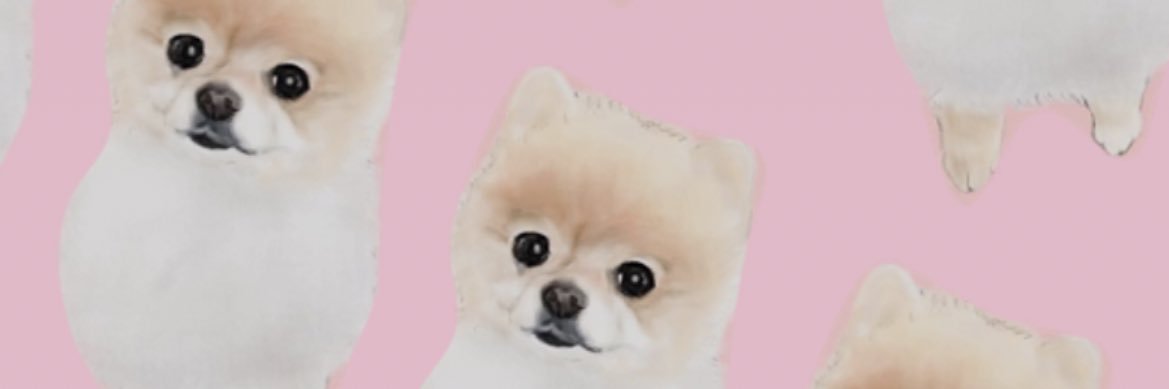 poncomama's profile banner image