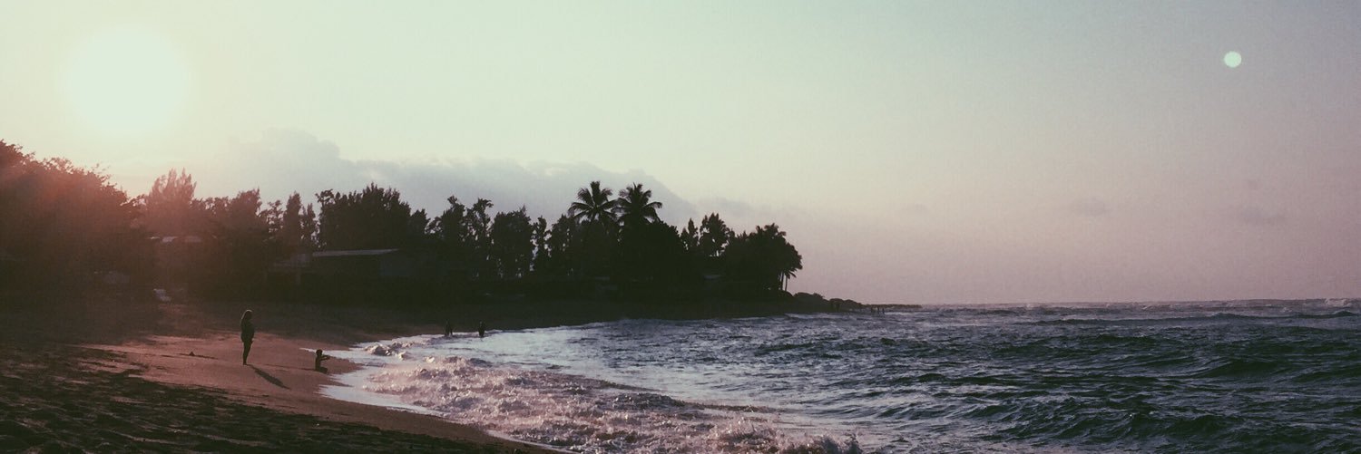 rubinfefffer's profile banner image
