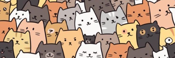 amyfayfay's profile banner image