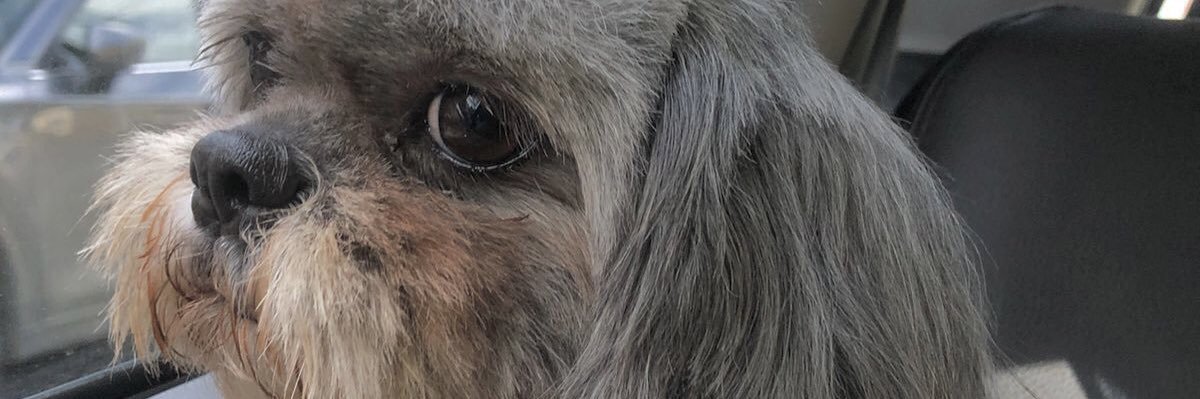 jotyferrin's profile banner image